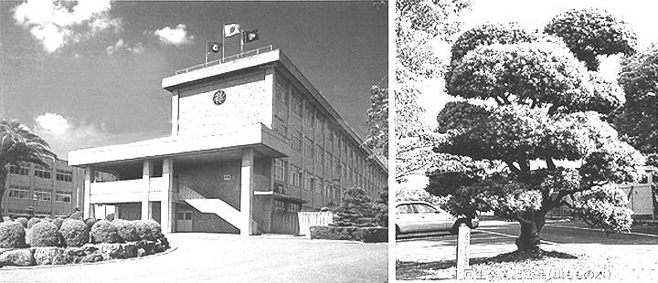 小坂井高校同窓会報 第1号イメージ写真