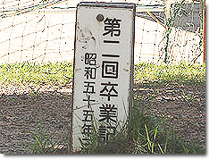 クロガネモチ②