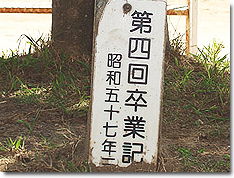 クロガネモチ②