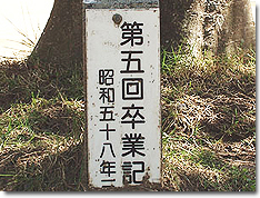 クロガネモチ②