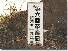 クロガネモチ②