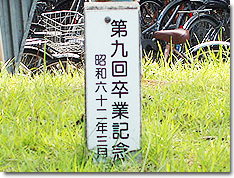 クロガネモチ②